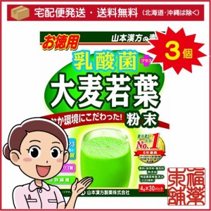 山本漢方 乳酸菌 大麦若葉 粉末(4gx30包)×3個 [宅配便・送料無料]