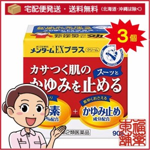 【第2類医薬品】メンターム EXプラス(90g)×3個 [宅配便・送料無料]