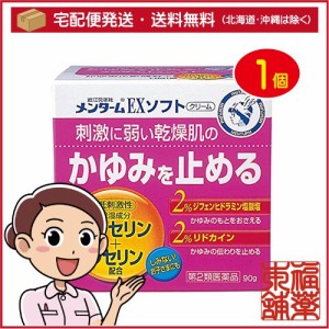 【第2類医薬品】メンターム EXソフト(90g) [宅配便・送料無料]