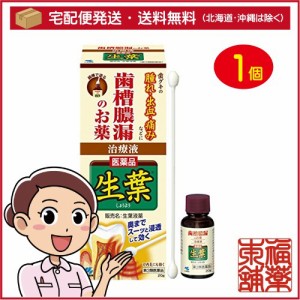 【第3類医薬品】小林製薬 生葉液薬(20g) [宅配便・送料無料]