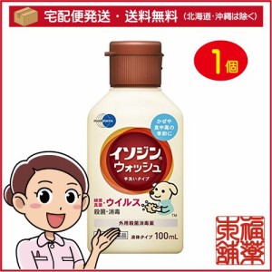 【第3類医薬品】イソジンウォッシュ(100ml) [宅配便・送料無料]