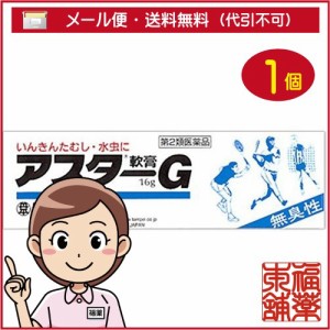 【第2類医薬品】アスターg軟膏(16g) [ゆうパケット送料無料] 「YP20」