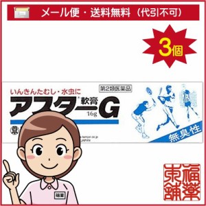 【第2類医薬品】アスターg軟膏(16g)×3個 [ゆうパケット送料無料] 「YP20」