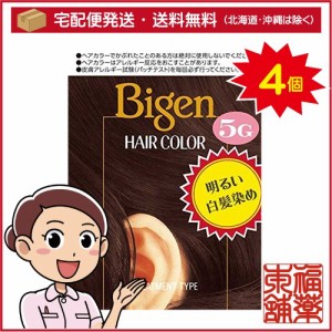 ビゲンヘアカラー５g×4個 [宅配便・送料無料]