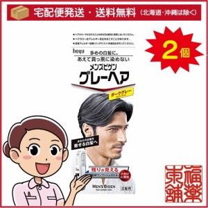 メンズ ビゲン グレー ヘアの通販｜au PAY マーケット