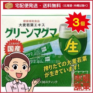 グリーンマグマ 生 (30包×3個)【大麦若葉】【麦緑素】【青汁】【日本薬品開発】[宅配便・送料無料]