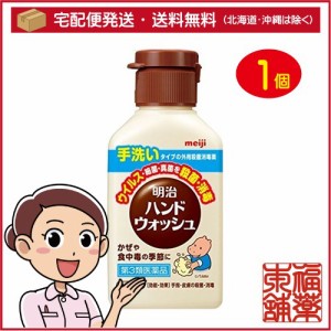 【第3類医薬品】明治ハンドウォッシュ(100ml) [宅配便・送料無料]