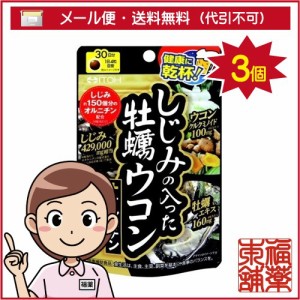 井藤漢方 しじみの入った牡蠣ウコン+オルニチン(120粒)×3個 [ゆうパケット送料無料] 「YP10」