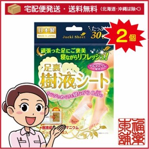 ゲルマ樹液足裏シート (30P) × 2個 ゲルマニウム配合 足裏パック [宅配便・送料無料]