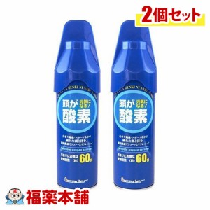 リーダー携帯酸素スプレー 5リットル×2 [宅配便・送料無料]