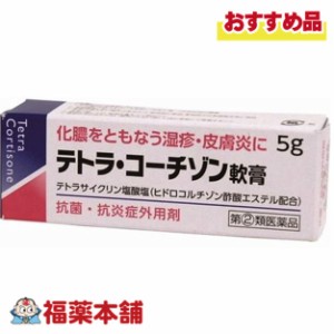 【第(2)類医薬品】テトラ・コーチゾン軟膏 5g  [ゆうパケット・送料無料]