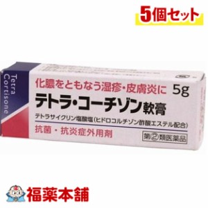 【第(2)類医薬品】テトラ・コーチゾン軟膏 5g×5個  [ゆうパケット・送料無料]