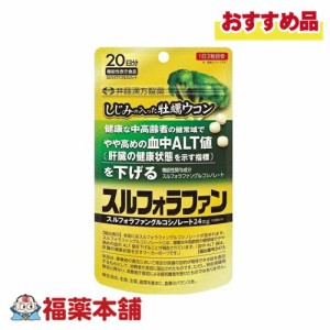 しじみの入った牡蠣ウコン スルフォラファン 60粒 [ゆうパケット・送料無料] 機能性表示食品 しじみ 牡蠣 ウコン ALT値 肝臓 井藤漢方製