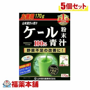 山本漢方 ケール青汁粉末徳用 170g×5個 [宅配便・送料無料]