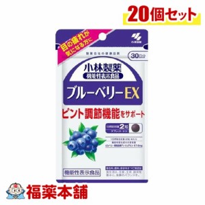 小林製薬 機能性表示食品 ブルーベリーEX 60粒×20個 [宅配便・送料無料]