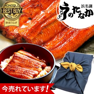 お中元 御中元 ギフト 国産 うなぎ 蒲焼き プレゼント 送料無料 うなぎのたなか 鰻 お祝い 誕生日プレゼント 静岡 内祝い グルメ ウナギ 