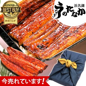 うなぎ 国産 プレゼント グルメ 国産うなぎ 蒲焼き 大サイズ 送料無料 うなぎのたなか 鰻 ギフト セット お祝い 誕生日プレゼント 静岡 