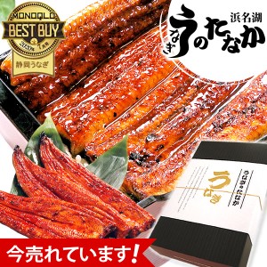 うなぎ 国産 プレゼント お祝い 誕生日 プレゼント 人気 グルメ 国産うなぎ 鰻 蒲焼き 送料無料 うなぎのたなか 大サイズ ギフトセット 