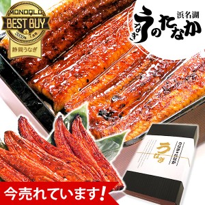 お中元 御中元 ギフト 国産 うなぎ 蒲焼き プレゼント 送料無料 うなぎのたなか 鰻 お祝い 誕生日プレゼント 静岡 内祝い グルメ ウナギ 