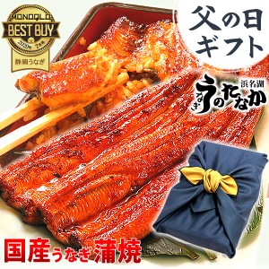 父の日 お中元 ギフト 国産 うなぎ 蒲焼き プレゼント 御中元 送料無料 うなぎのたなか 鰻 お祝い 誕生日プレゼント 静岡 内祝い グルメ 