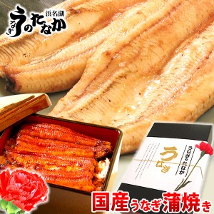 母の日 プレゼント 国産 うなぎ 蒲焼き 送料無料 うなぎのたなか 鰻 ギフト グルメ 化粧箱 [Aset][2〜3人用] AA