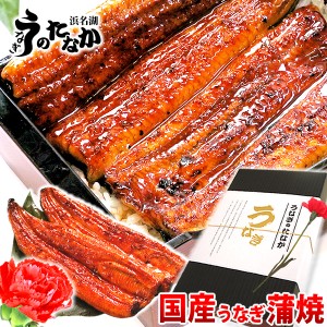 母の日 プレゼント 国産 うなぎ ギフト 蒲焼き ウナギ 鰻 送料無料 うなぎのたなかグルメ  化粧箱 2尾 [Iset][2〜3人用] AA