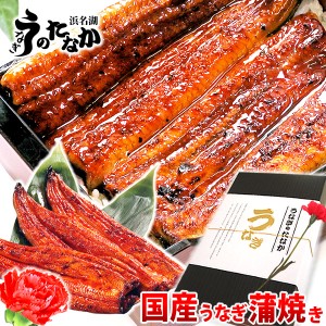 母の日 プレゼント 国産 うなぎ 国産うなぎ 蒲焼き ウナギ 鰻 送料無料 蒲焼き 3本 ギフトグルメ  静岡 化粧箱 3尾 [Jset][3〜5人用] AA