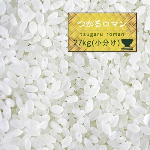 米 30キロ 青森県産 5年産 つがるロマン 白米27kg（5kg×5、2kg）小分け 精米【米27キロ】