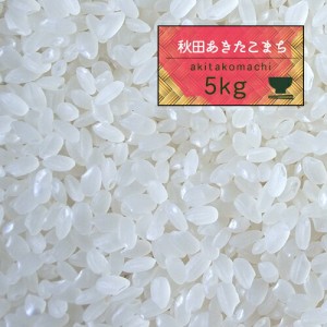 米 5kg 精米 5年産 秋田県産 あきたこまち 白米5kg 送料無料 秋田こまち【米5キロ】