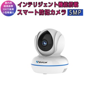 小型 防犯カメラ ワイヤレス C22Q 500万画素 ONVIF VStarcam 超高画質 MicroSDカード録画 遠隔監視 PSE 技適 在庫処分1ヶ月保証