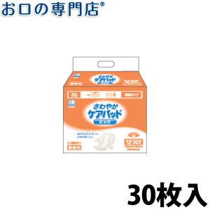 ハクゾウさわやかケアパッド ビッグ（30枚入） 1個 ハクゾウメディカル