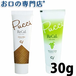 プチリカル 30ｇ 歯磨き粉／ハミガキ粉 歯科専売品 【メール便OK】