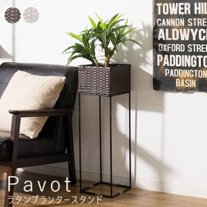 Ｐａｖｏｔ（パヴォ）　ラタンプランタースタンド　ラタンプランタースタンド　プランタースタンド　ラタン　観葉植物　花台　植木鉢