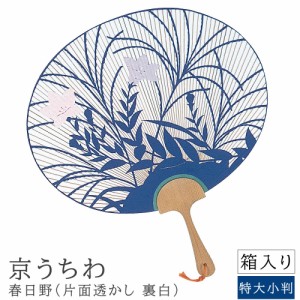 京うちわ　春日野　特大小判　京うちわ　京団扇　京都　うちわ　団扇　職人　特大　花園　和紙　和風　和柄　和モダン　箱入り　おしゃれ