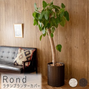 Ｒｏｎｄ（ロンド）　ラタンプランターカバー　ラタン　プランター　グリーンベース　鉢　鉢カバー　プランターカバー　植木　植木鉢カバ