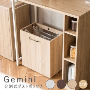 Gemini(ジェミニ) 分別式ダストボックス ゴミ箱 分別 各20L 20リットル スリム ダストボックス ダストワゴン
