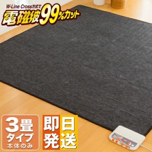 ホットカーペット 電磁波カット 3畳 195×235cm 本体のみ 【ZCB-30P ZENKEN ゼンケン 電気ホットカーペット 3畳タイプ ホットマット 電気