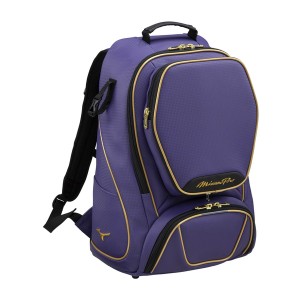 MIZUNO ミズノ ミズノプロ バックパック 40L 野球 ミズノプロ メンズ 1FJD300067