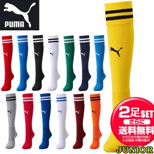 PUMA プーマ ストッキング サッカー・フットサル 729882 キッズ ジュニア 靴下 ソックス タイツ Lined Jr Stocking