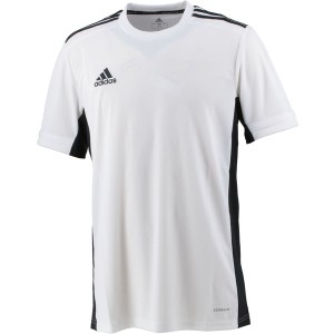 adidas アディダス MI TEAM19 Tシャツ M テニス DW6753Z-WHT 半袖