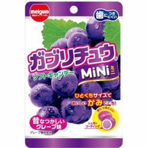 明治ガム ガブリチュウMiNi グレープ 10入