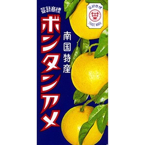 セイカ食品 ボンタンアメ 14粒×10入