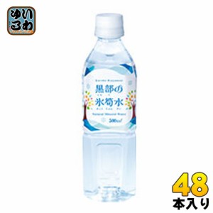 黒部の氷筍水 500ml ペットボトル 48本 (24本入×2 まとめ買い)