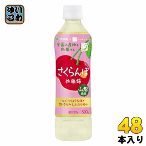 伊藤園 ニッポンエール 山形県産 さくらんぼ 佐藤錦 500g ペットボトル 48本 (24本入×2 まとめ買い) 果汁飲料 サクランボ