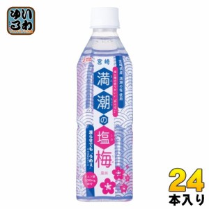 サンA 満潮の塩梅 490ml ペットボトル 24本入 熱中症対策