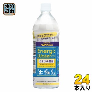 ブルボン ウィングラム エナジックウォーター 500mlペット 24本入 スポーツドリンク 熱中症対策 水分補給