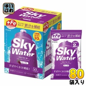 クラシエ スカイウォーター グレープ味 (1L用×2) 80袋 合計160リットル分 栄養機能食品 熱中症対策 スポーツドリンク 粉末