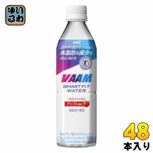 明治 VAAM ヴァーム スマートフィットウォーター アップル風味 500ml ペットボトル 48本 (24本入×2 まとめ買い) スポーツドリンク 熱中