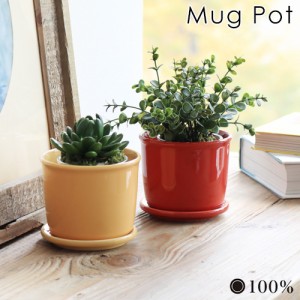 マグ ポット MUG POT 100percent 植木鉢 おしゃれ 室内 観葉植物 植物 鉢植え 鉢 3号 受け皿付き 花 美濃焼 磁器 焼き物 かわいい シンプ