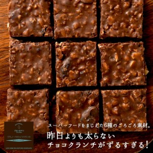 ＜新商品＞ 低糖質 グラノーラ チョコクランチ  (400g) 　低糖質チョコレート  ヘルシーチョコレート クーベルチュール クランベリー カ